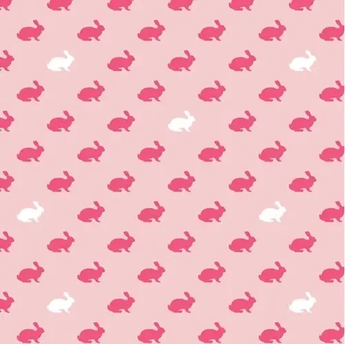 PINBUNNY.webp