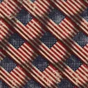 REDUSAFLAG.webp