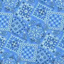 Blue (Light) Bandana Fabric - Actual Image.webp