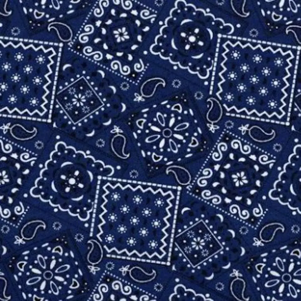 Blue (Navy) Bandana Fabric - Digital Image.webp