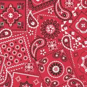 Red Bandana Fabric - Actual Image.webp