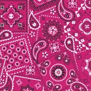 Pink Bandana (Dark) Fabric - Actual Image.webp