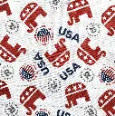White Republican Fabric - Actual Image.webp