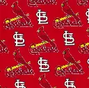 Red St Luis Cardinal Fabric - Actual Image.webp