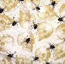 Green Skull Spider Fabric - Actual Image.webp
