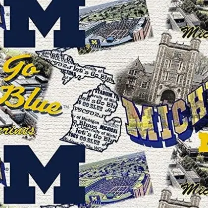 Gray Michigan Wolverine Fabric - Actual Image.webp