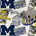 Gray Michigan Wolverine Fabric - Actual Image.webp