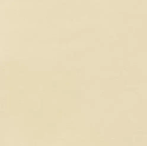 Brown Solid (Light) Fabric - Actual Image.webp