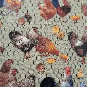 Brown Chick Fabric - Actual Image.webp