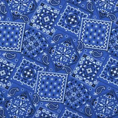 Blue Bandana (Dark) Fabric - Actual Image.webp