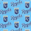 Blue Kansas Royal Fabric - Actual Image.webp