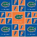 Blue Florida Gators Block Fabric - Actual Image.webp
