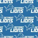 Blue Detroit Lions Fabric - Actual Image.webp