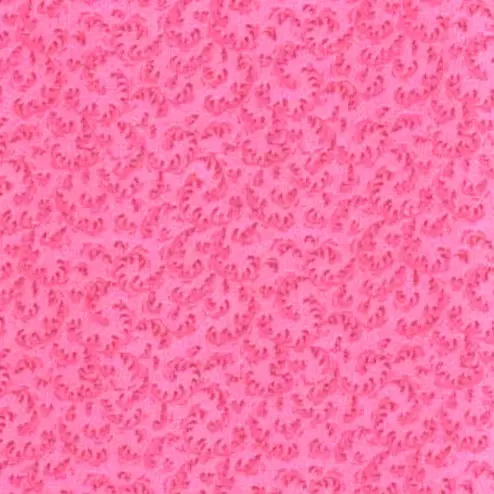 Pink Fancy (Dark) Fabric - Actual Image.webp