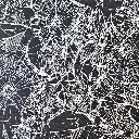 Black Manor Webs Fabric - Actual Image.webp