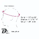 DBK Size Chart Skull.webp