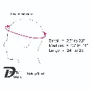 DBK Size Chart Skull.webp