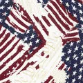 Red Eagle Flag Fabric - Actual Image.webp
