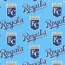 Blue Kansas Royal Fabric - Actual Image.webp