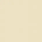 Cream Solid (Dark) Fabric - Actual Image.webp