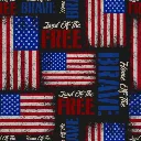 Blue Home of The Brave Fabric - Actual Image.webp