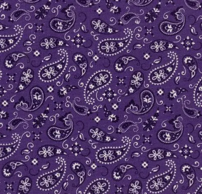 Purple Paisley Bandana (Dark) Fabric - Actual Image.webp