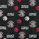 Black Toronto Raptors Fabric - Actual Image.webp
