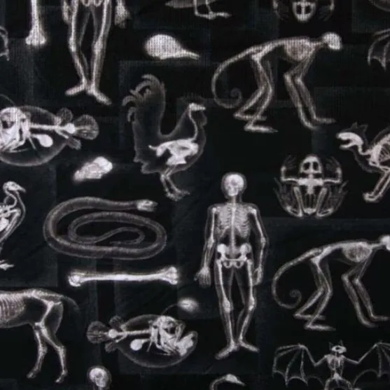 Black Xray Skeleton Fabric - Actual Image.webp
