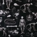 Black Xray Skeleton Fabric - Actual Image.webp
