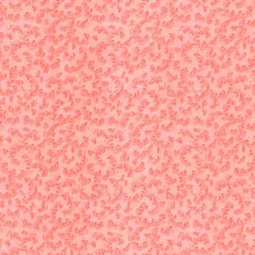 Peach Fancy (Light) Fabric